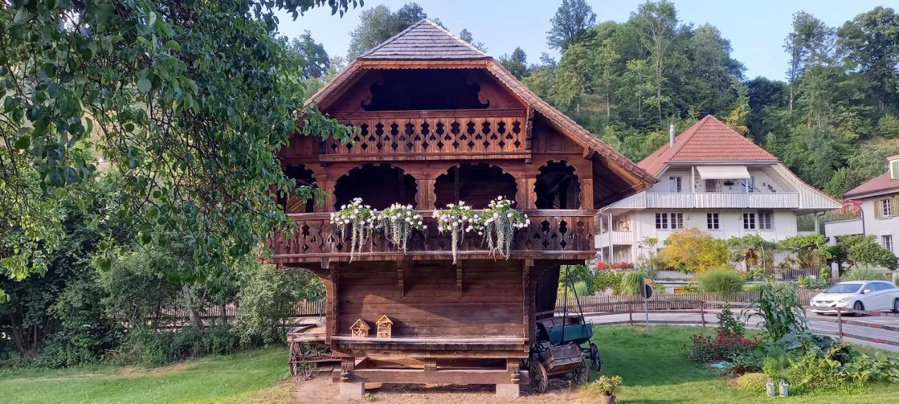 Emme Langnau